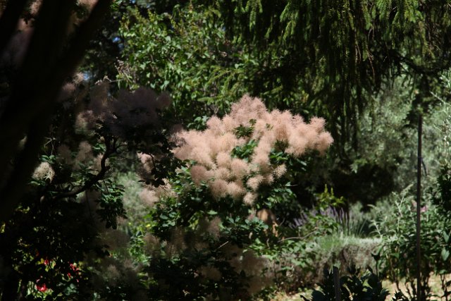 352 Lourmarin.JPG